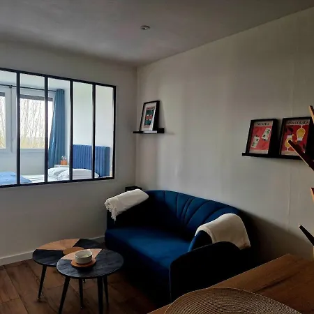 Apartment Cocon Angevin - Centre - Wi-fi