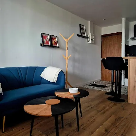 Apartment Cocon Angevin - Centre - Wi-fi Angers