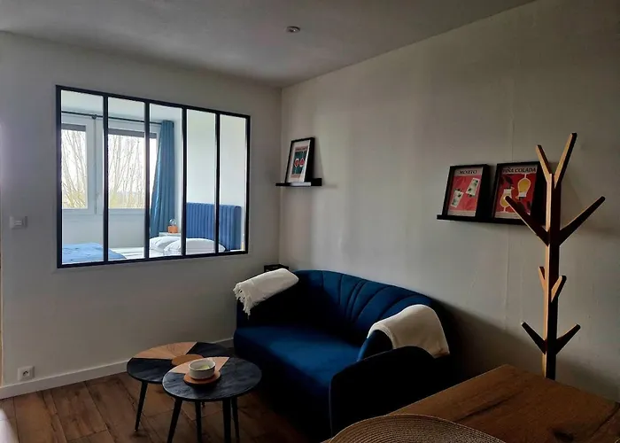 Apartamento Cocon Angevin - Centre - Wi-fi