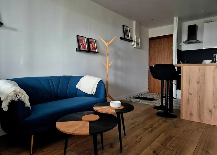 Apartamento Cocon Angevin - Centre - Wi-fi Angers